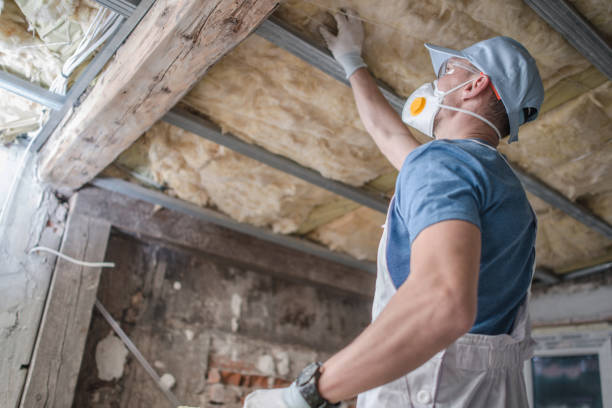 Best Insulation for Specific Applications in Citrus Park, AZ